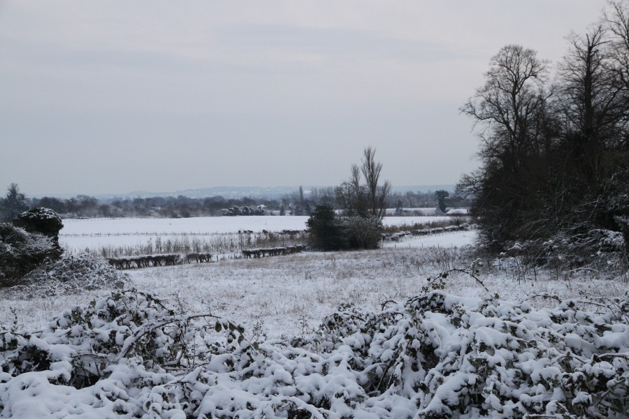 Snowy fields south of Taplow Village