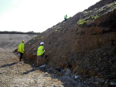 Berry Hill Quarry west face