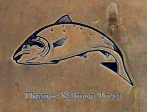 Thames Salmon Trust plaque at Bray Lock (detail)