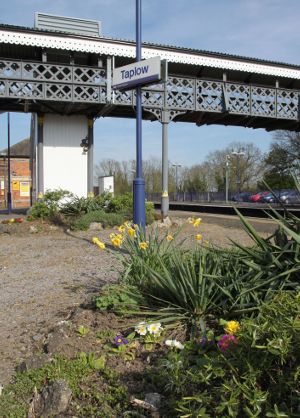 Flowers at Taplow Station