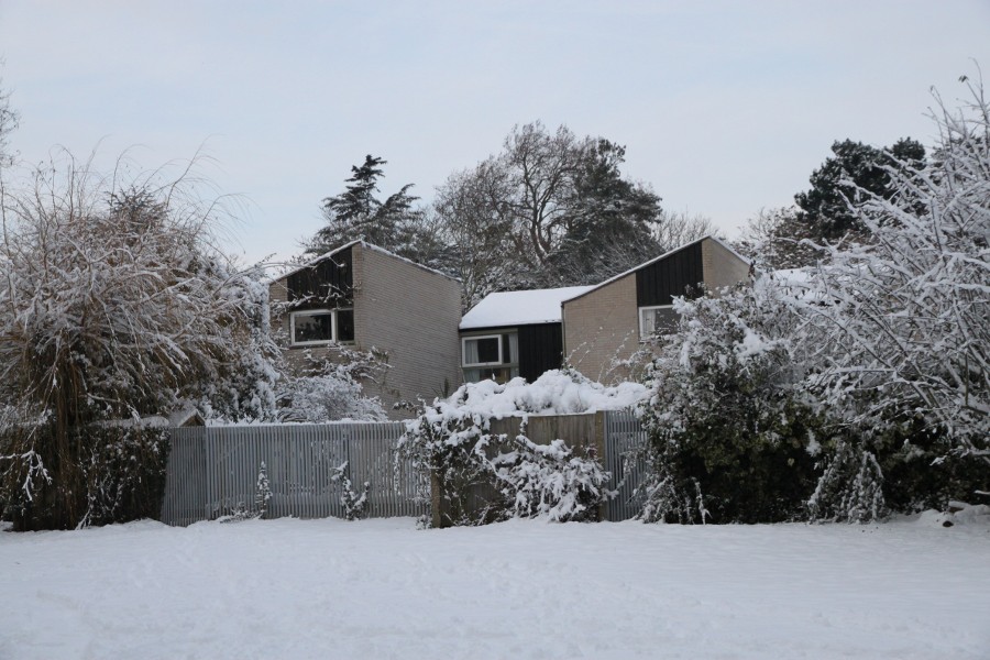 Cedar Chase in snow