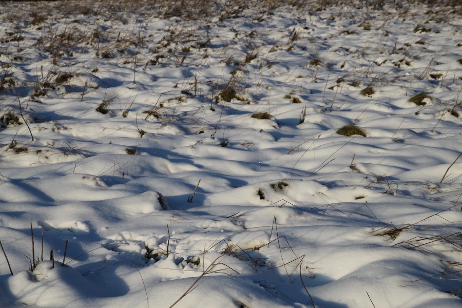 Snow between Mill Lane and the Jubilee River