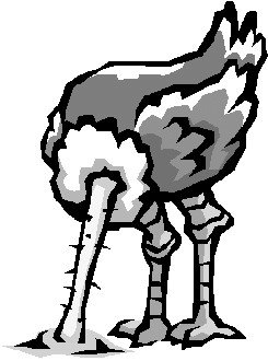 ostrich.jpg