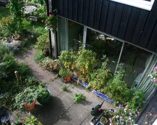 View of rear courtyard