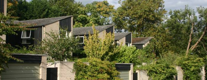 A row of Cedar Chase houses from the rear