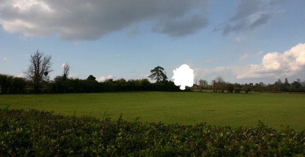 The gap left by the fallen tree