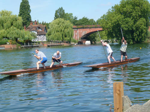 Punt racing at Taplow