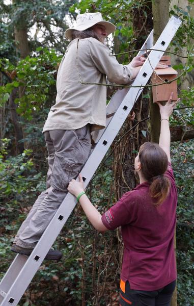 Installing a Desirable Residence
